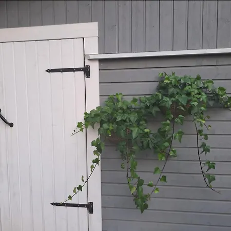 Feriehus Rauhallinen Kokonaisuus Rentoutumiseen